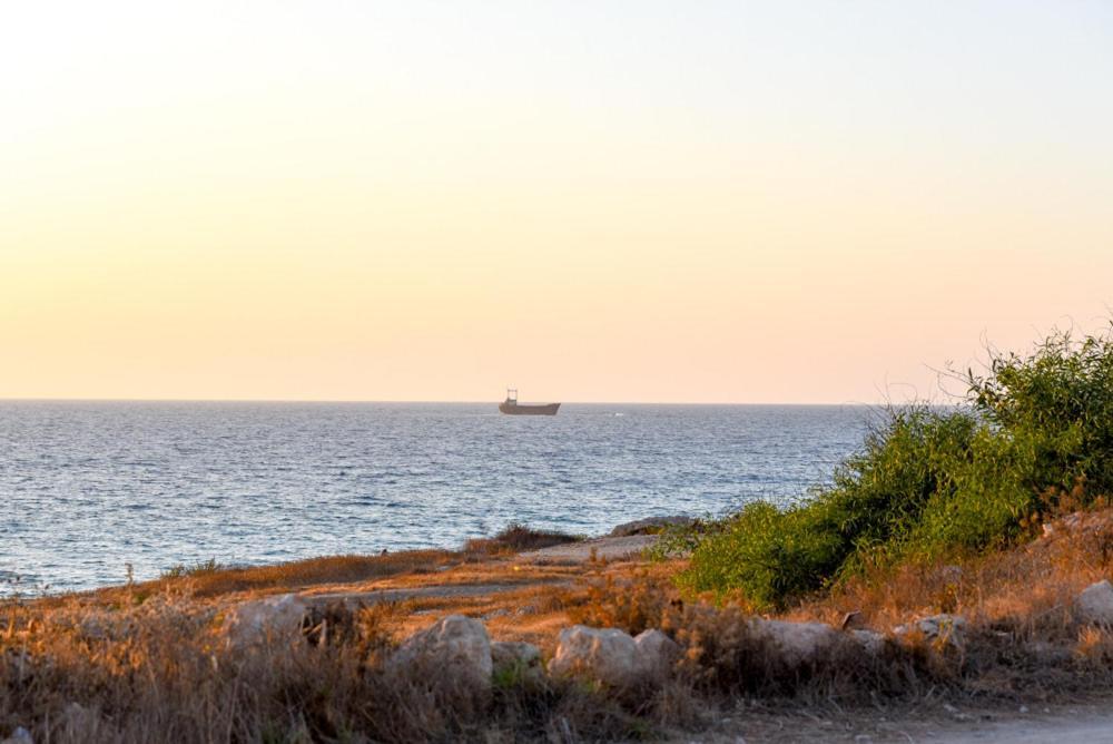 Beautiful Apartment Near The Sea And A Large Private Garden Paphos Esterno foto