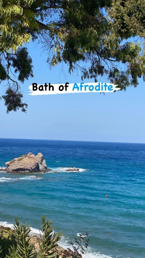 Beautiful Apartment Near The Sea And A Large Private Garden Paphos Esterno foto